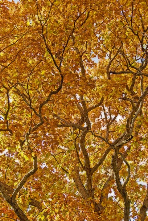 Reaching Up