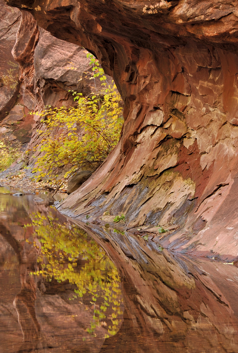 West Fork