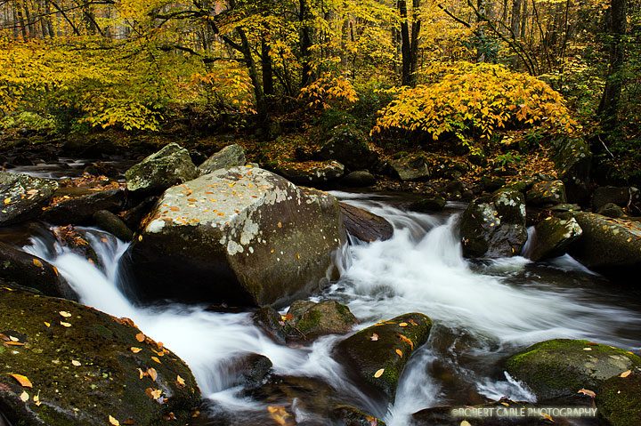 Oconaluftee Autumn