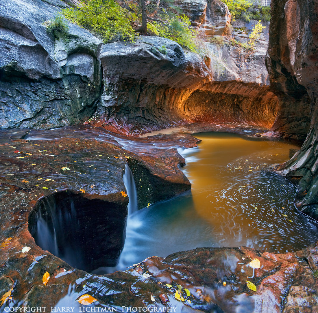Eden's Underground