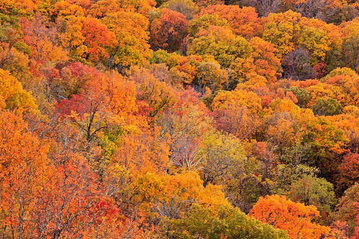 A blanket of color