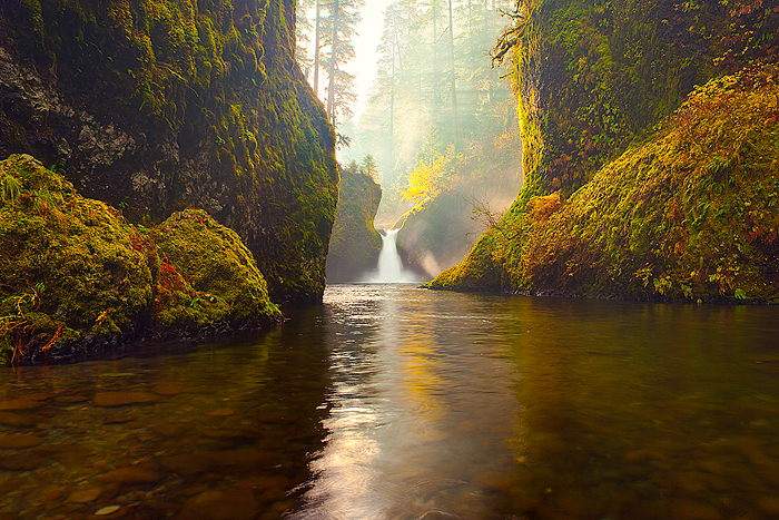 Golden Punchbowl