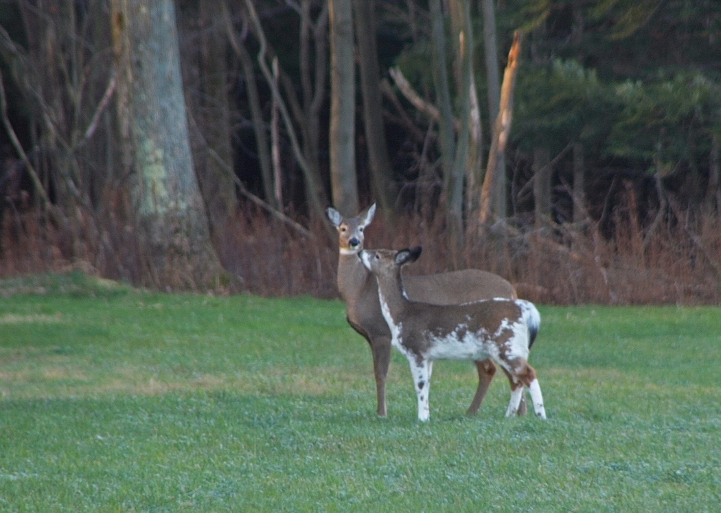 Tender Moment