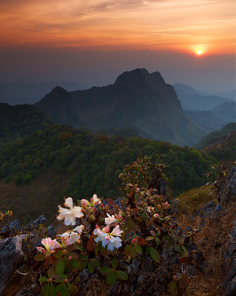Mount. Three Sister