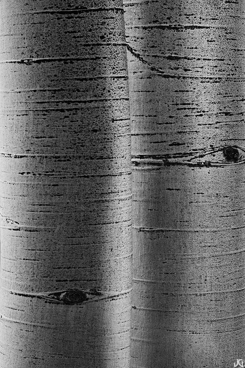 Aspen Illusions