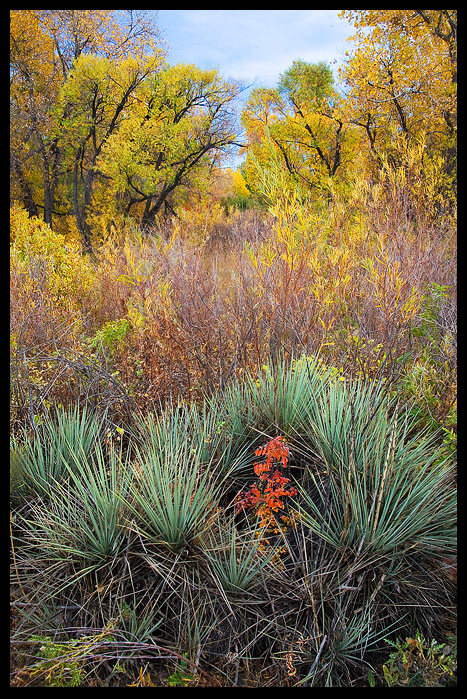 An open space fall
