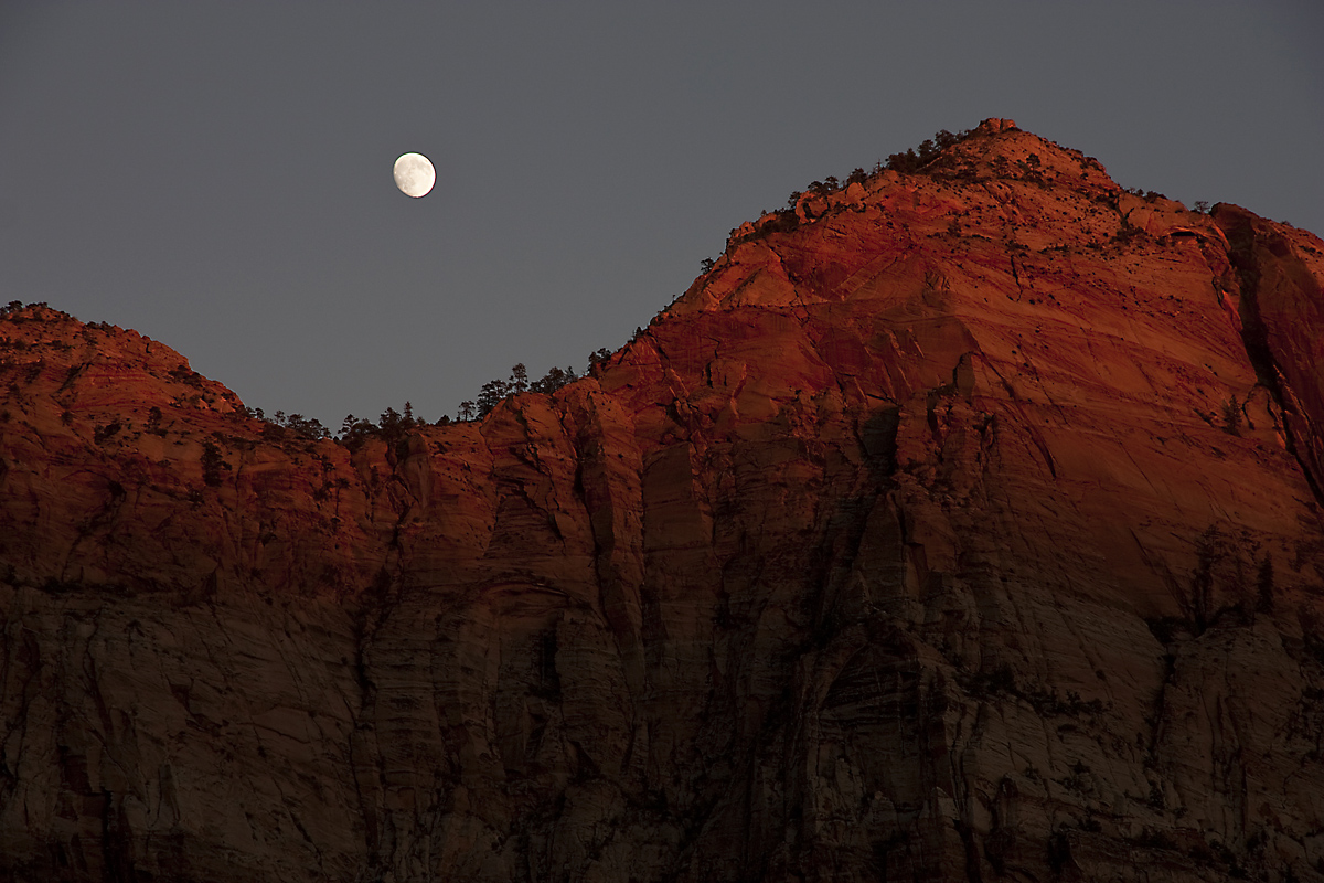 Zion Moonrise