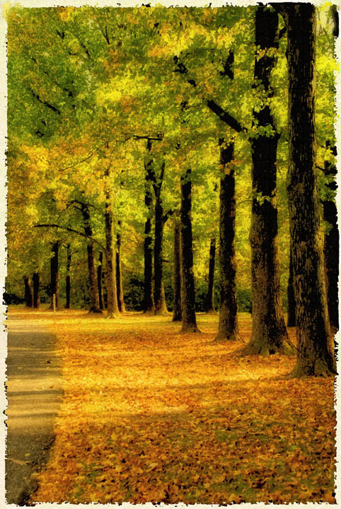 In the Park