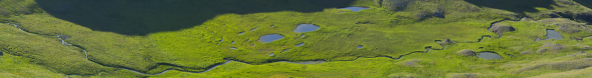 Picayne Gulch