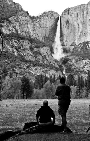 Admires of the Fall