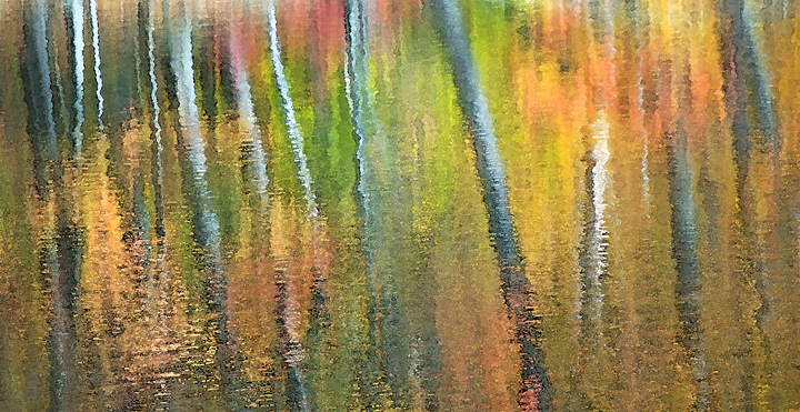 Reflecting on Nature