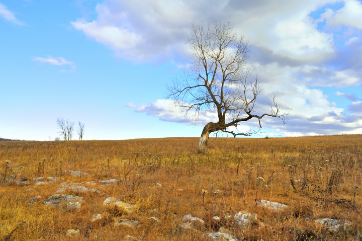 Stand Alone Crooked