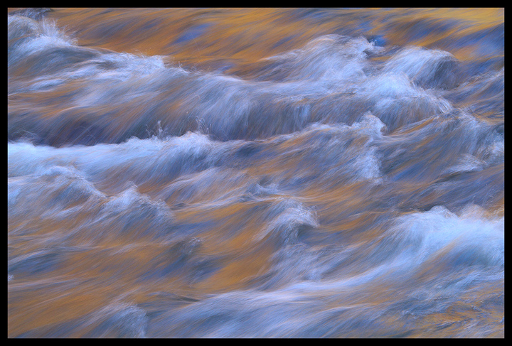 Zion Waves