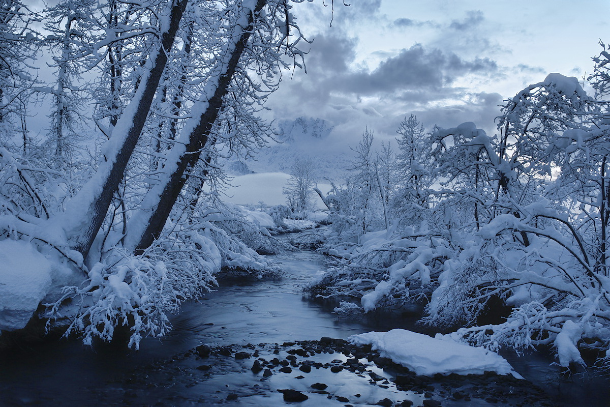 458-Powder Blue Evening