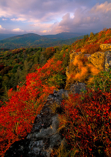 Blue Ridge Parkway Fall