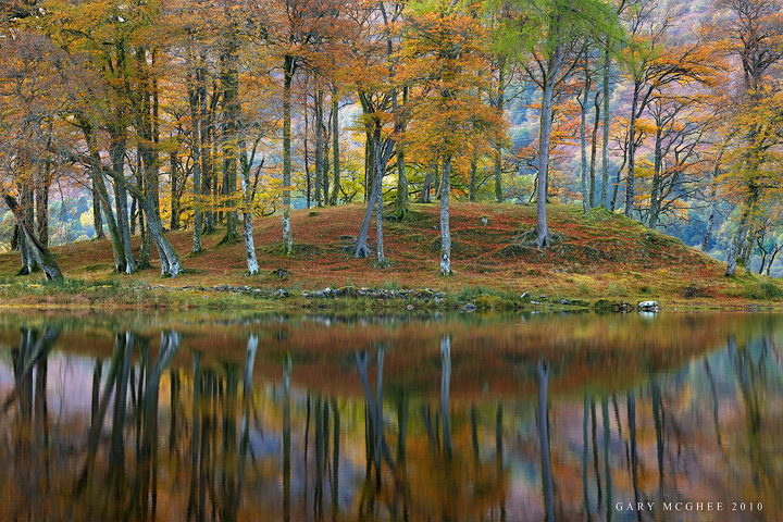 Loch Awe Pines