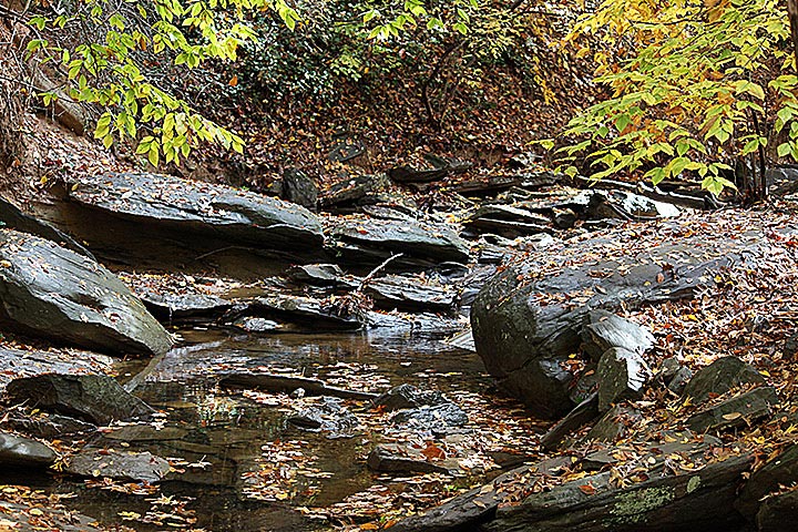 Nature Trail