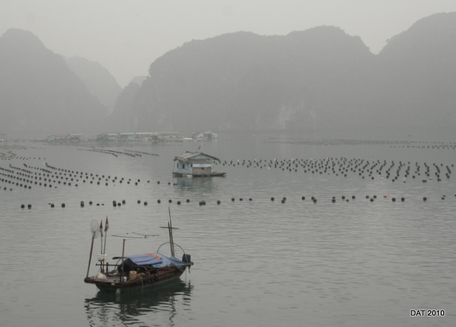 WC 458, Halong Bay