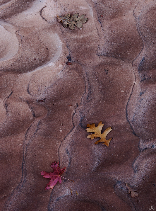 Autumn Footprints