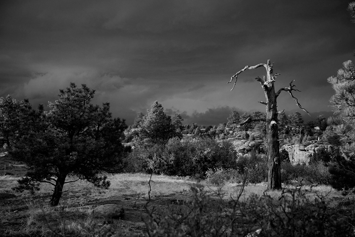 Storm's Coming