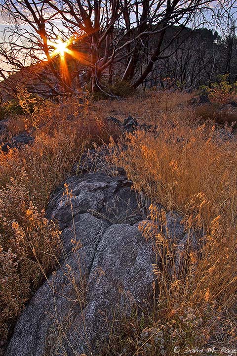 Setting Sun