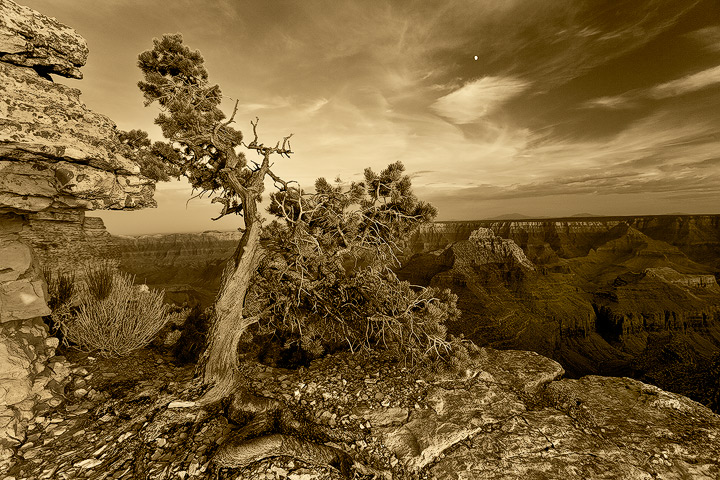 North Rim