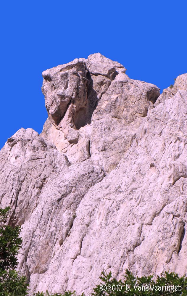 The Stone Puppy