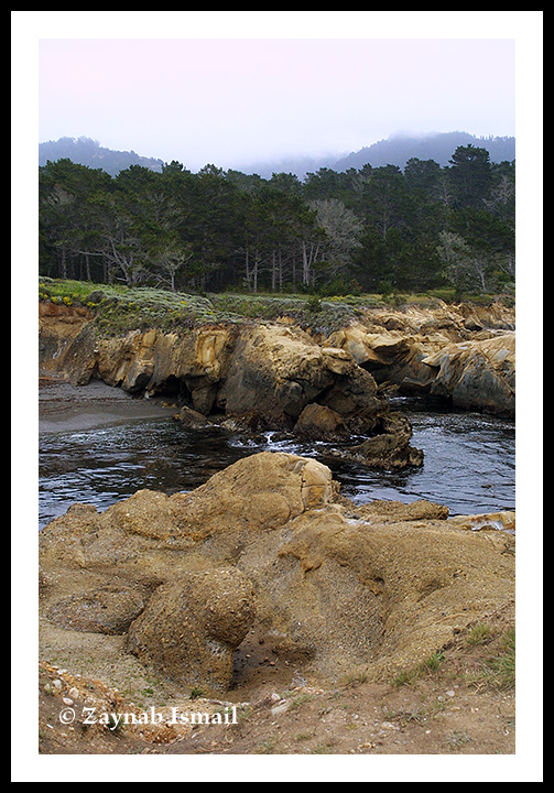 Point Lobos