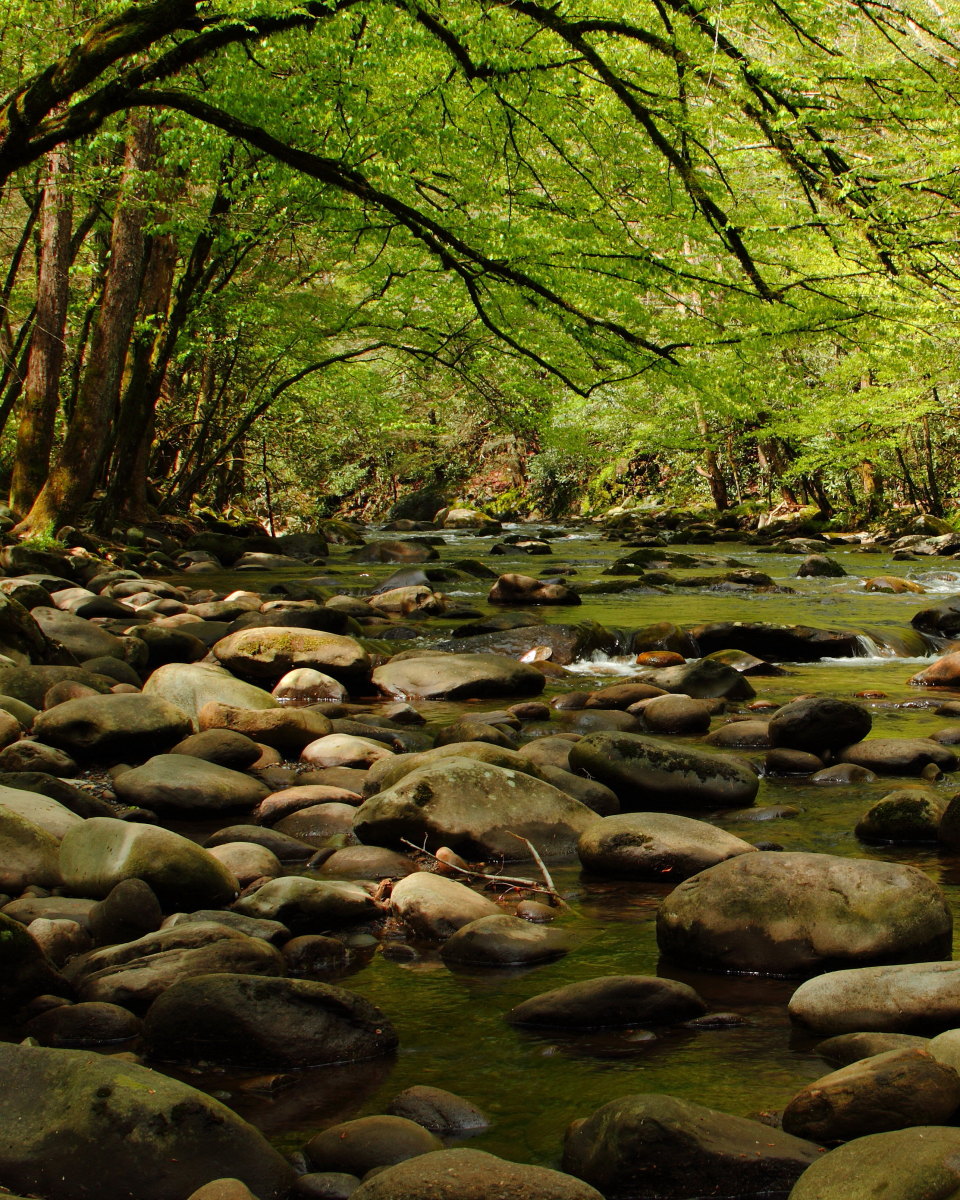 Babbling Brook