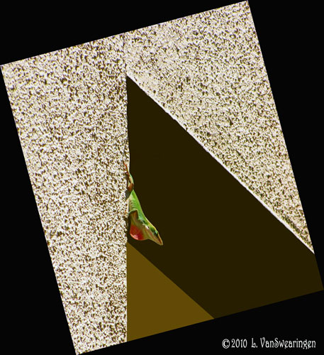 Angular Lizard