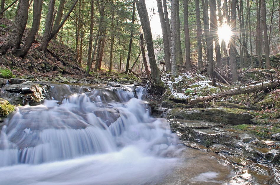 Beaming Stream (+ repst) 