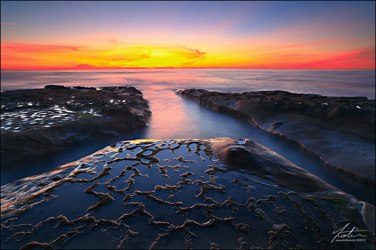Luminous Dreams