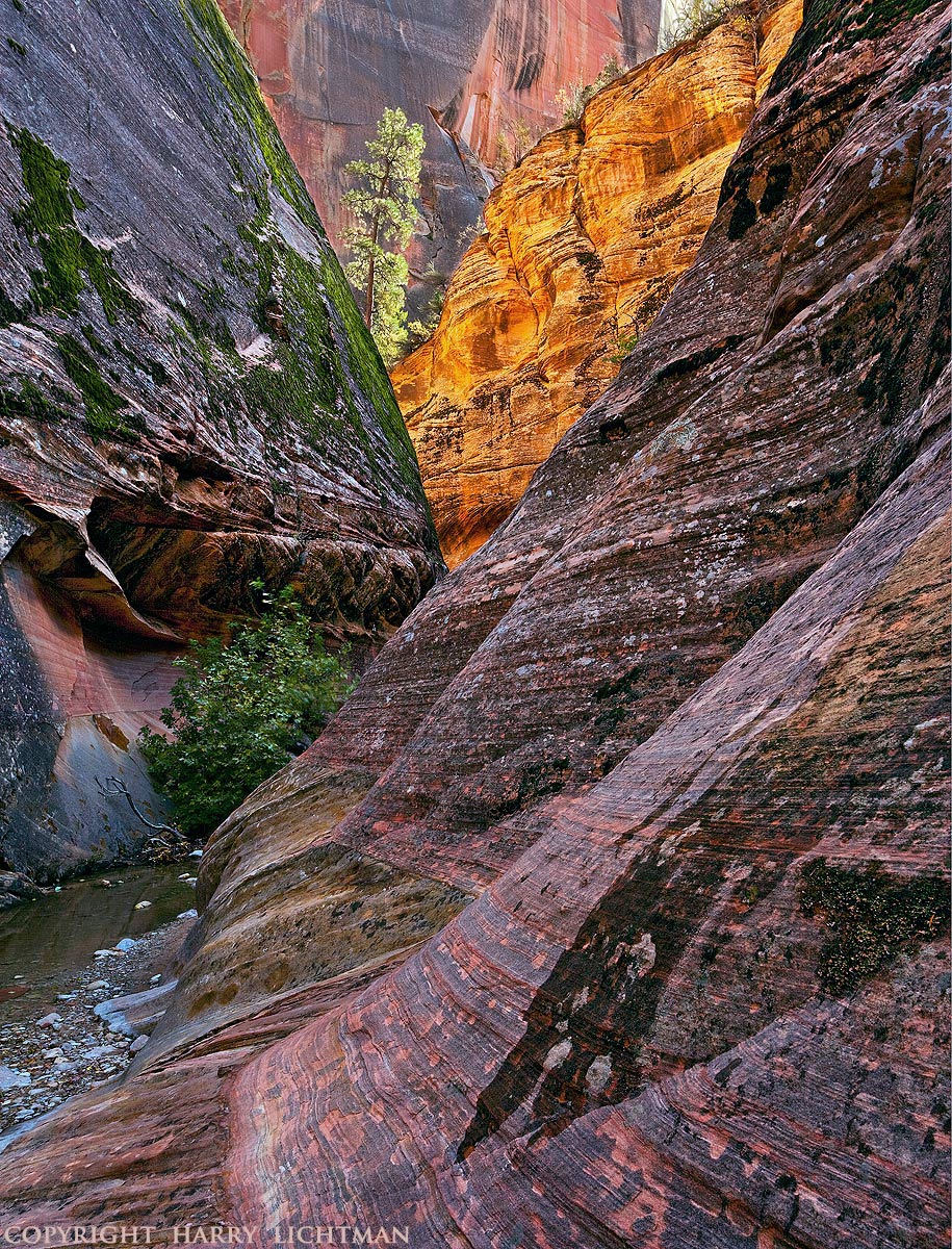Light Force - Echo Canyon