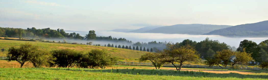 The Valley of Fear