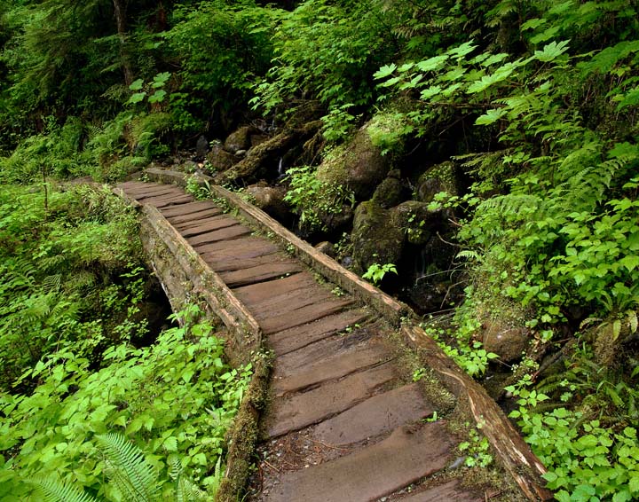 Lake 22 Trail