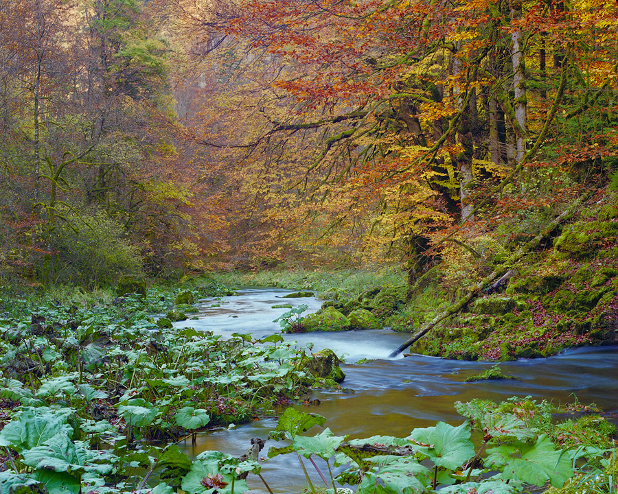 Gorges du Doubs