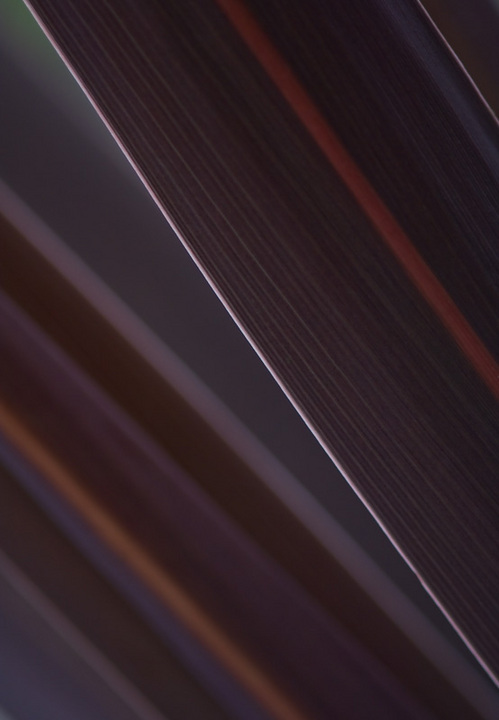 lines
