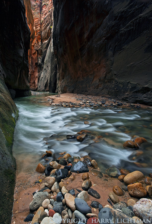 The Way