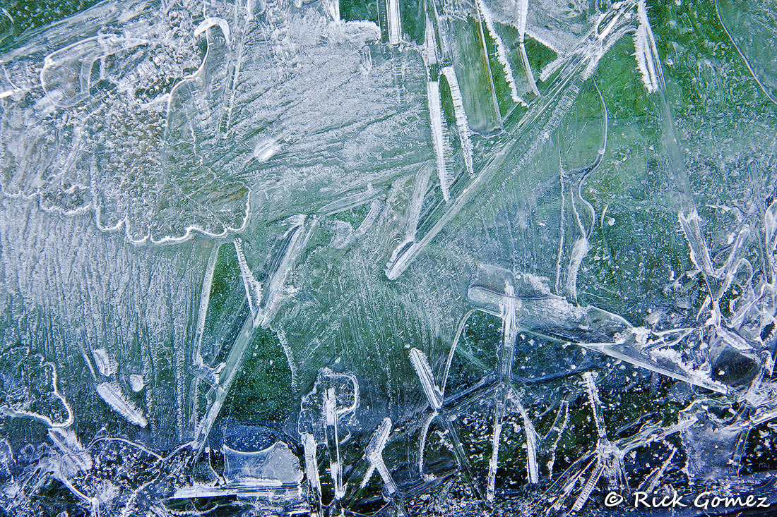 Inspiration In Ice...