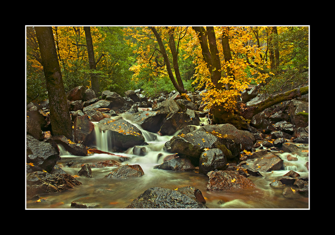 A Fall Soaking/ With Lots Of Edits!