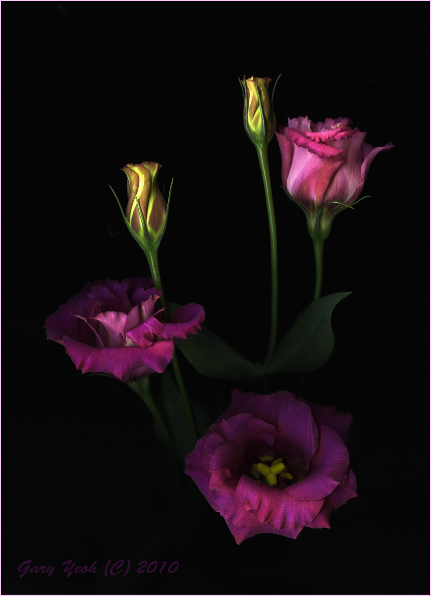 Bouquet scan + repost