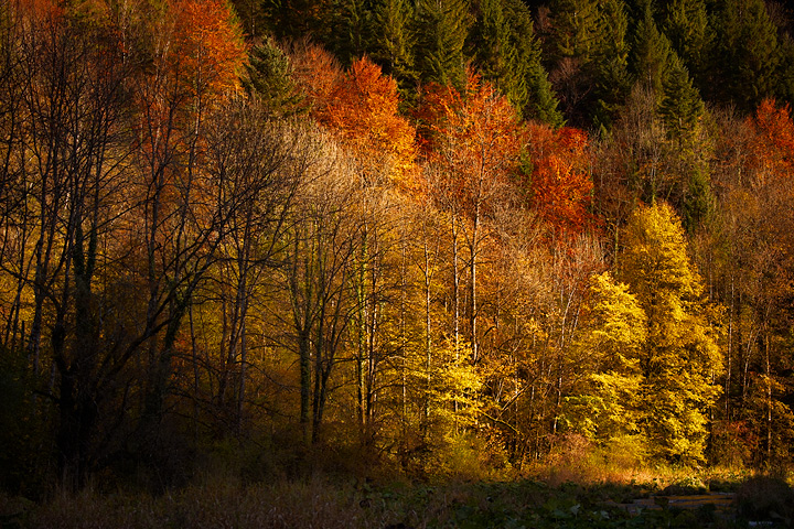 Gorges du Doubs