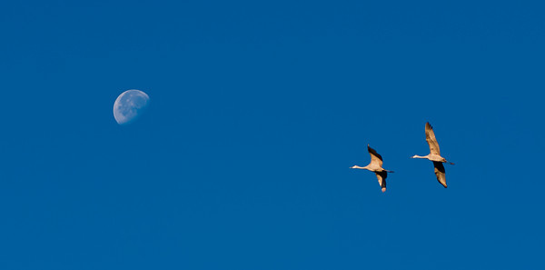 Flight to the Moon