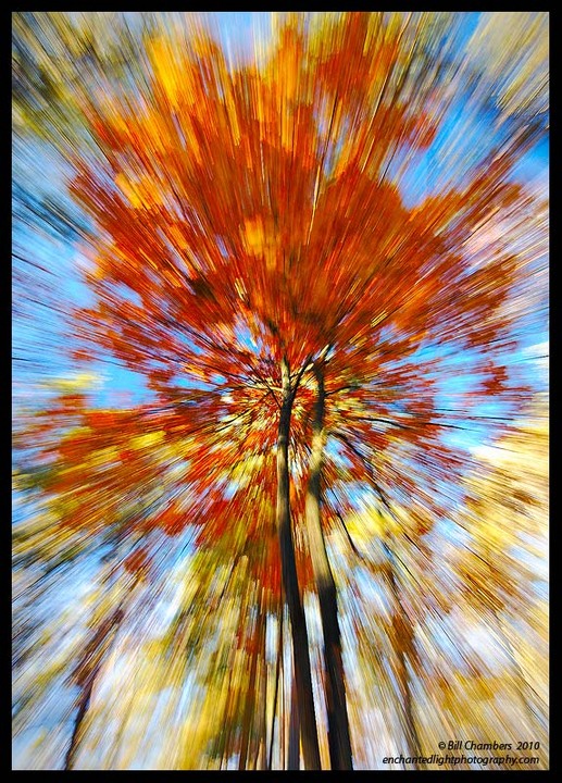 Exploding Tree