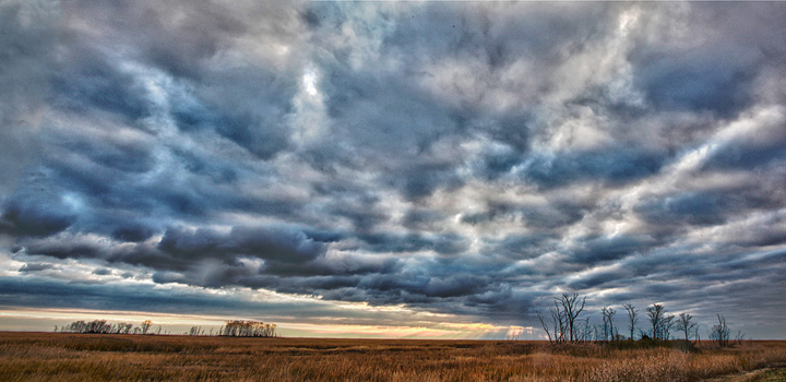 Bombay Hook Sunrise