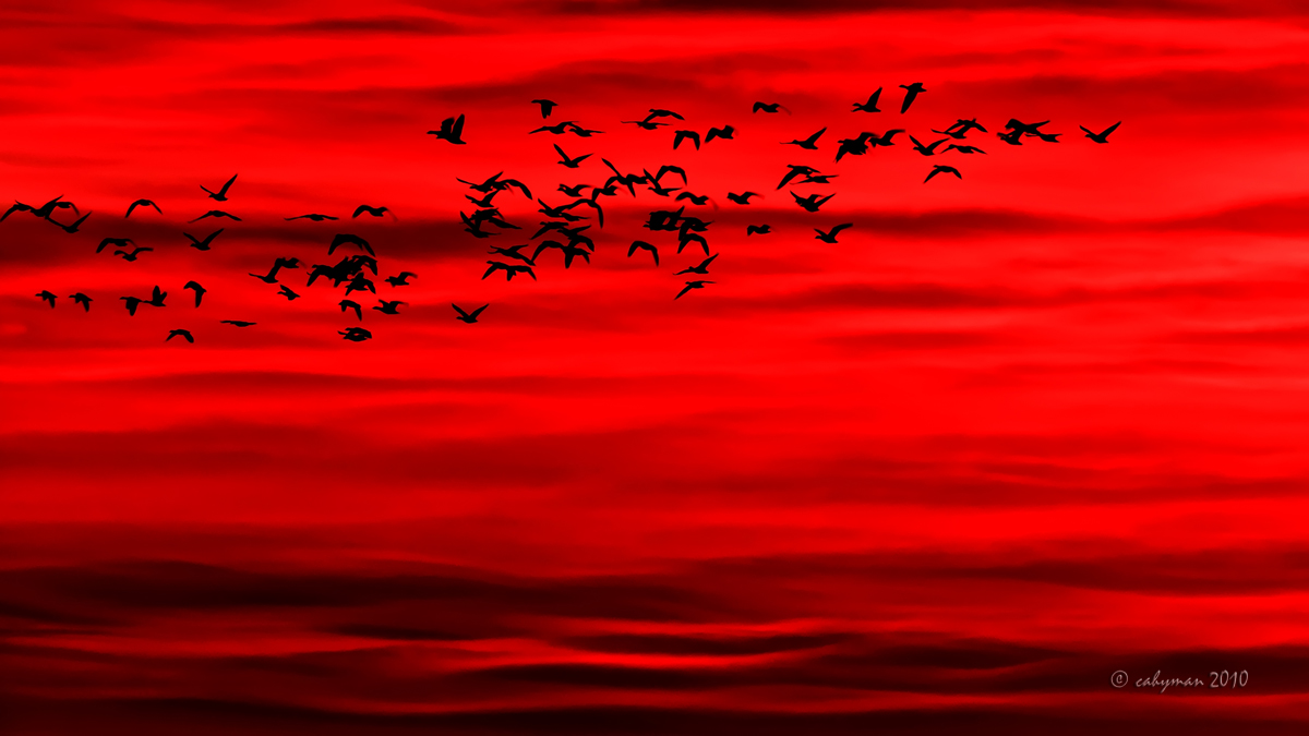River of Red