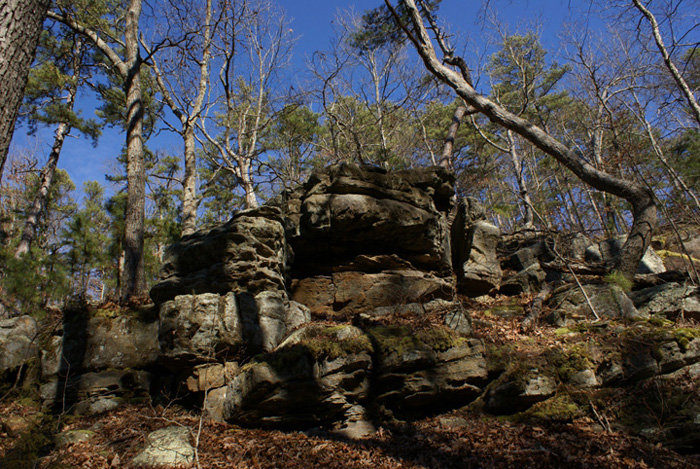 Hickory Canyon #66