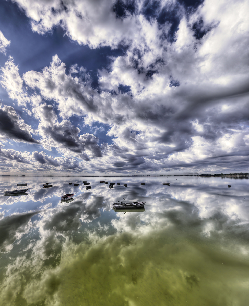 Reflections at Lobos