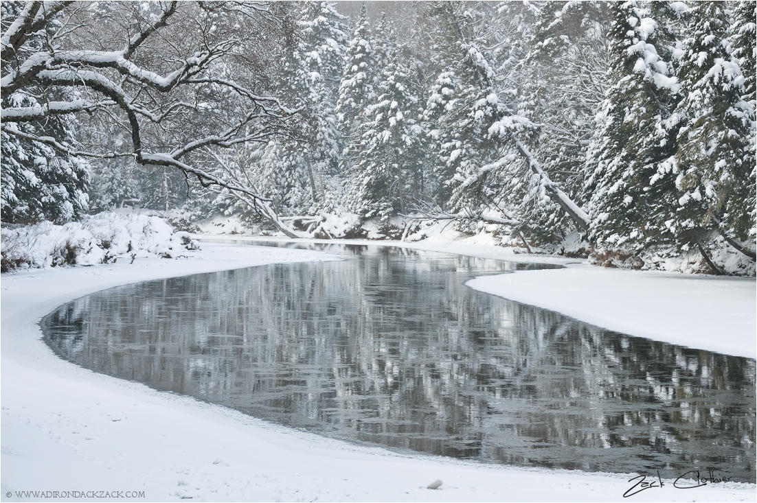 Winter White