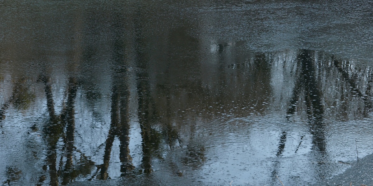 NPWC#462 - Lost inThought